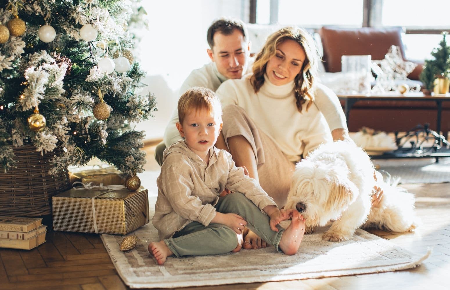Vollständiger Leitfaden zur Erstellung von Mini-Fotosessions: Weihnachten