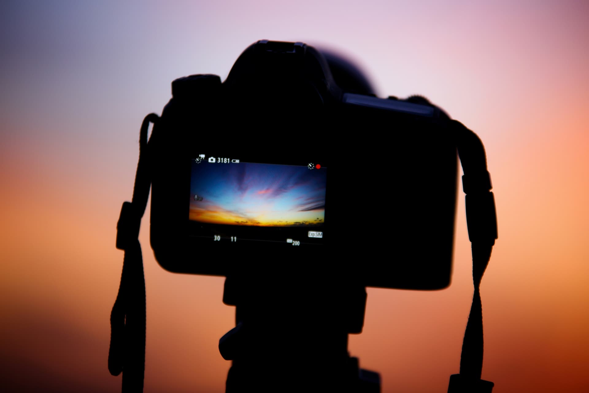 Bernd Dittrich 4 Ie Mla Z6l 0 Unsplash
