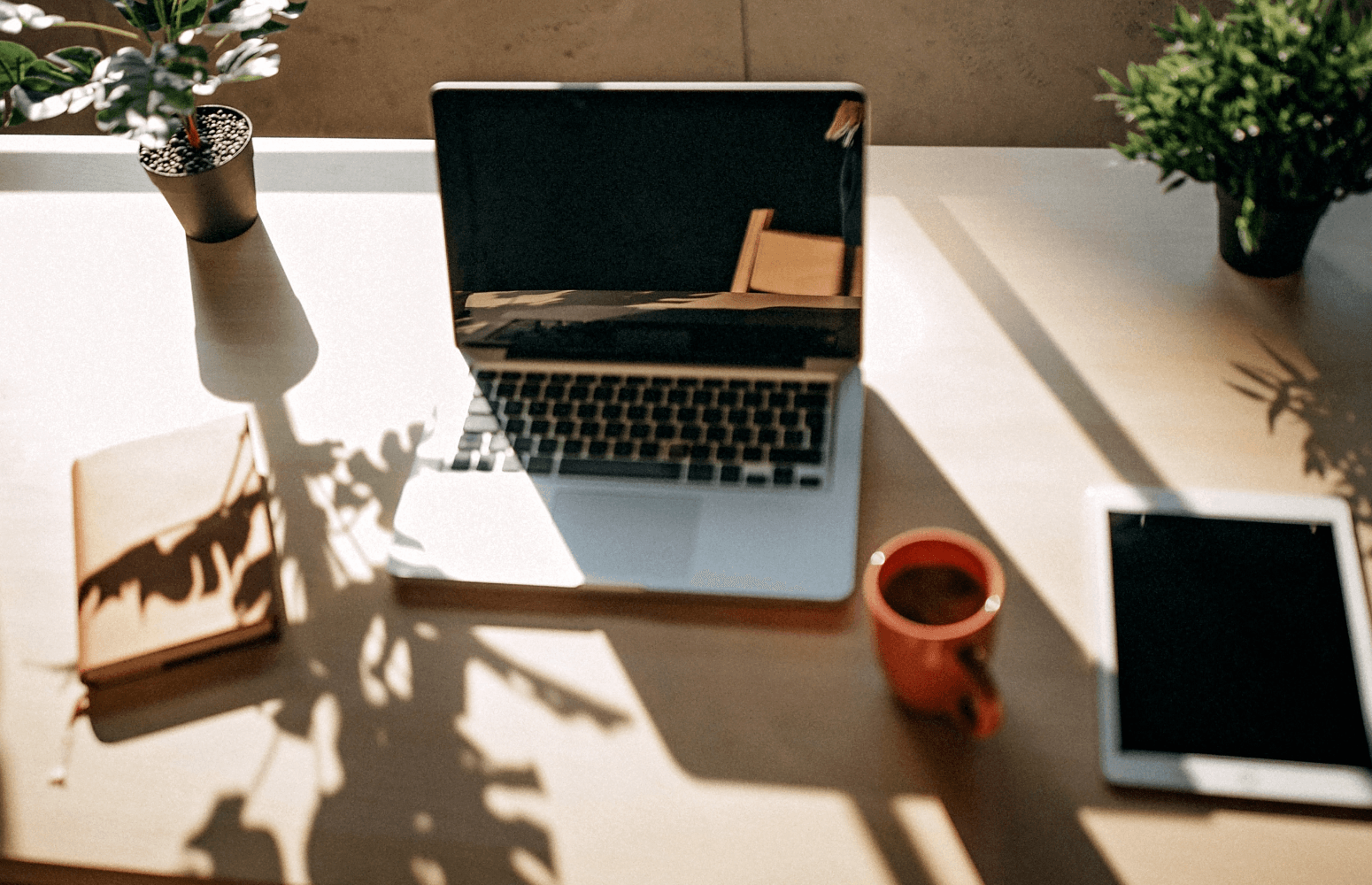 Website, CRM and photo galleries: connect your offer to the whole service
